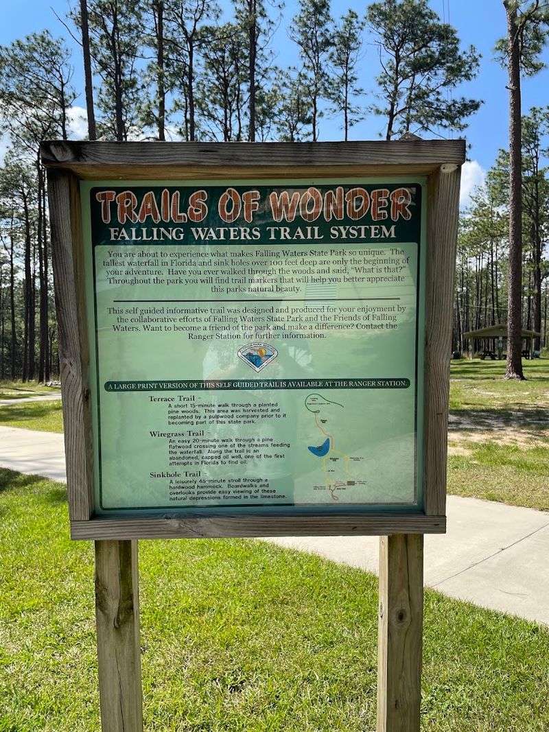 No Dogs Are Allowed On The Trail