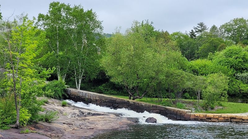 A Picnic Spot With A View That Earns Its Keep
