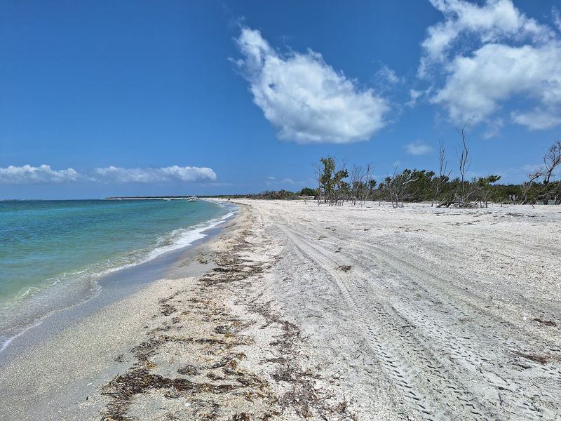 No Paved Roads Anywhere On The Island