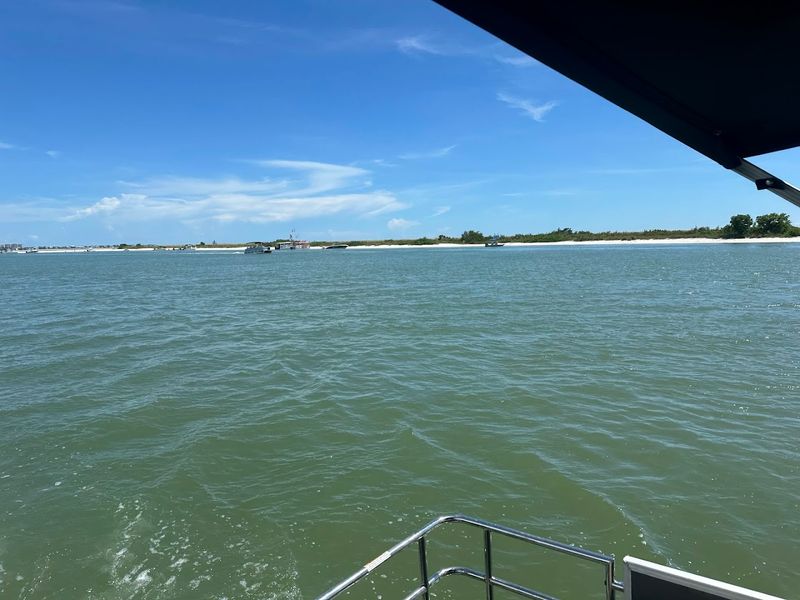The Floating Taco Boat That Stole the Show