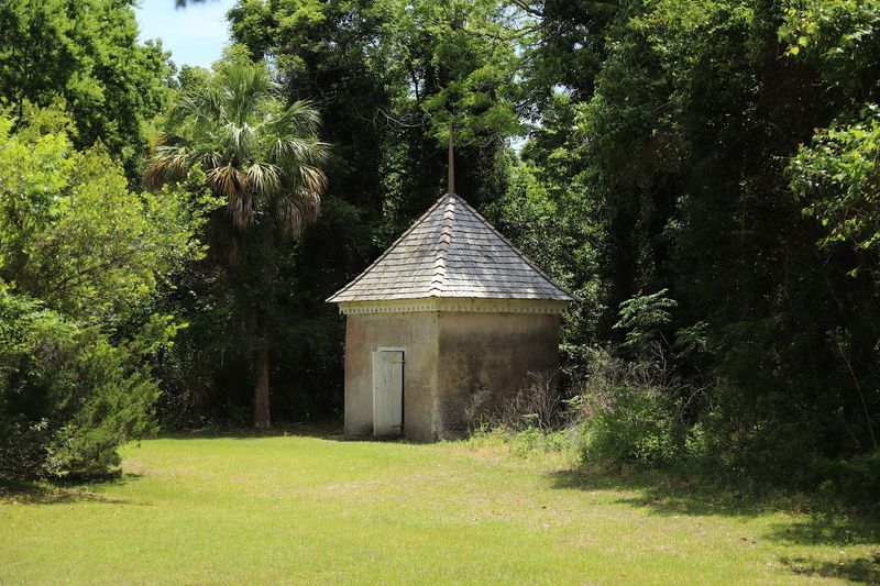 The Ruins and Roots Of Plantation History