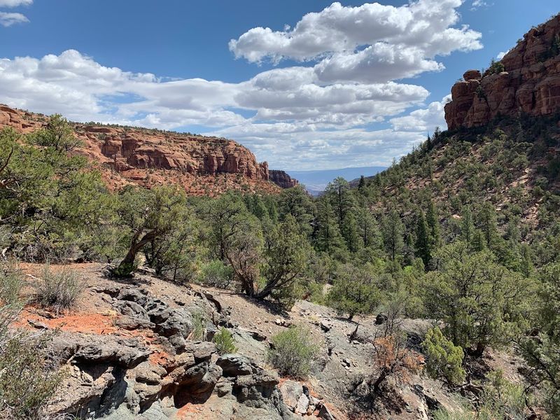Big Dominguez Trail - Dominguez Canyon Wilderness, Delta and Mesa County