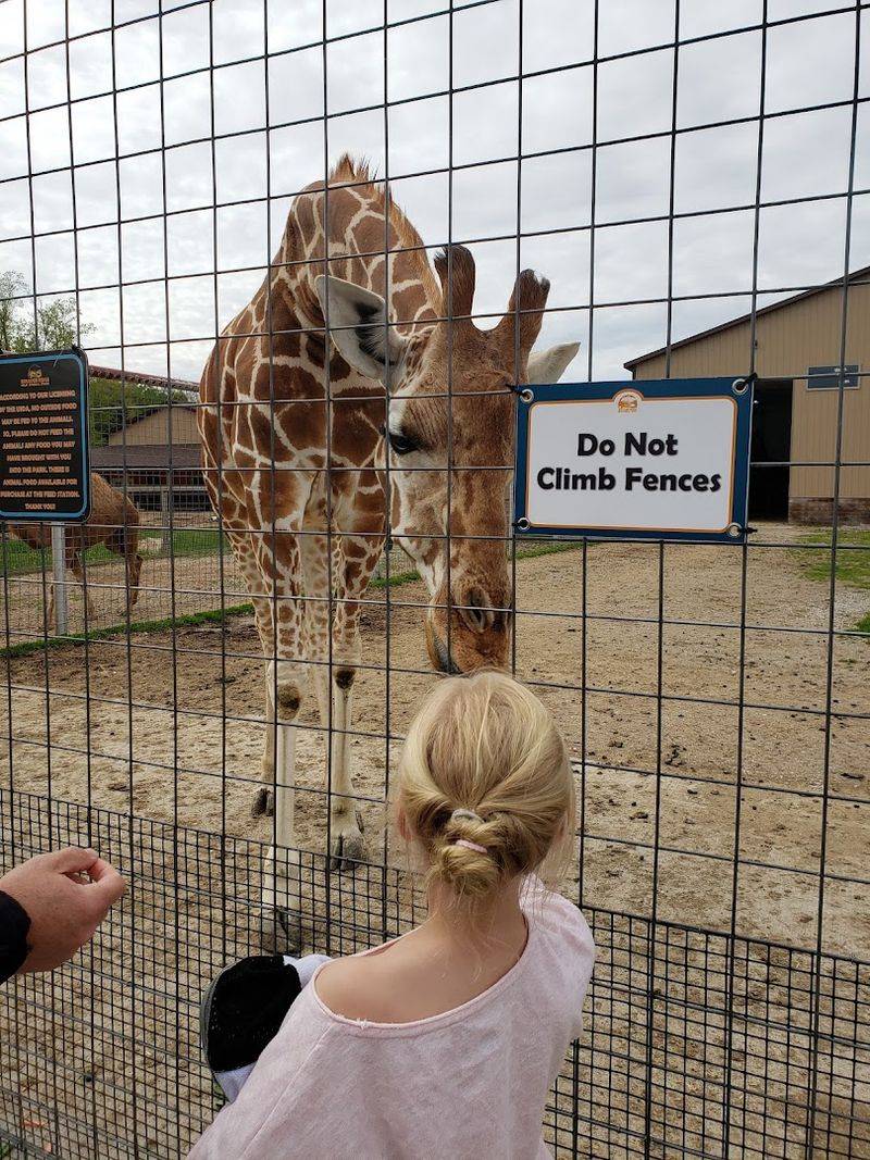 Feeding Routines and Boundaries