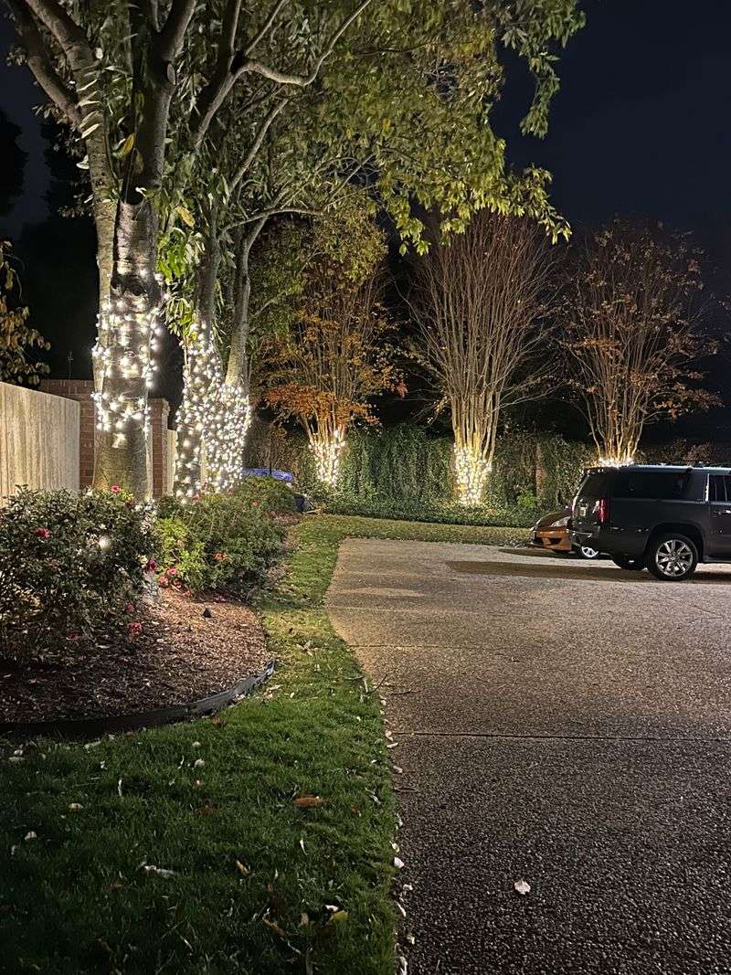 Virginia Beach — Holiday Lights at the Beach