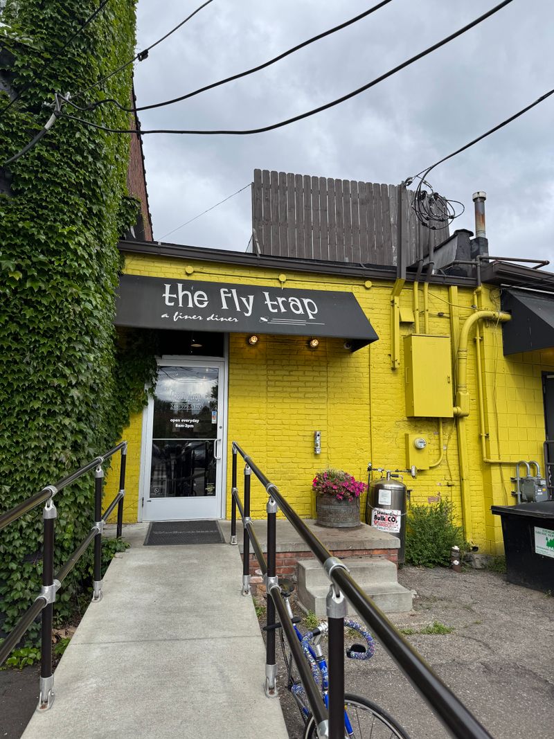 The Fly Trap, Ferndale