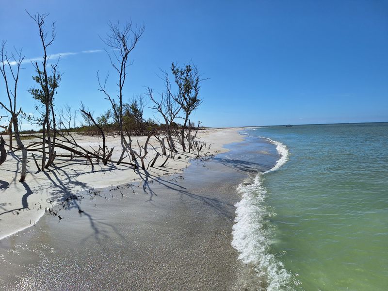 Cayo Costa State Park, Island South of Boca Grande
