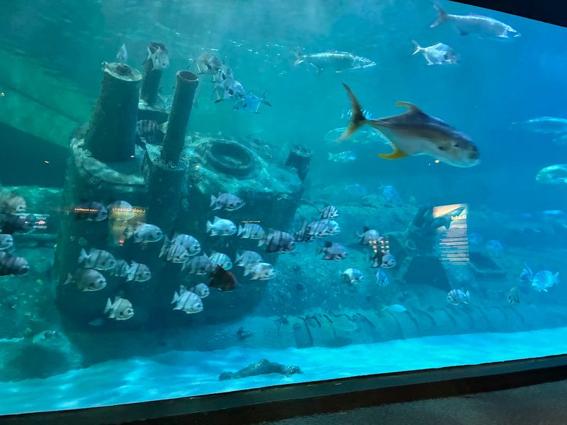 North Carolina Aquarium at Pine Knoll Shores