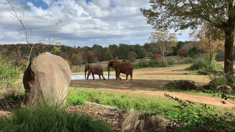 North Carolina Zoo