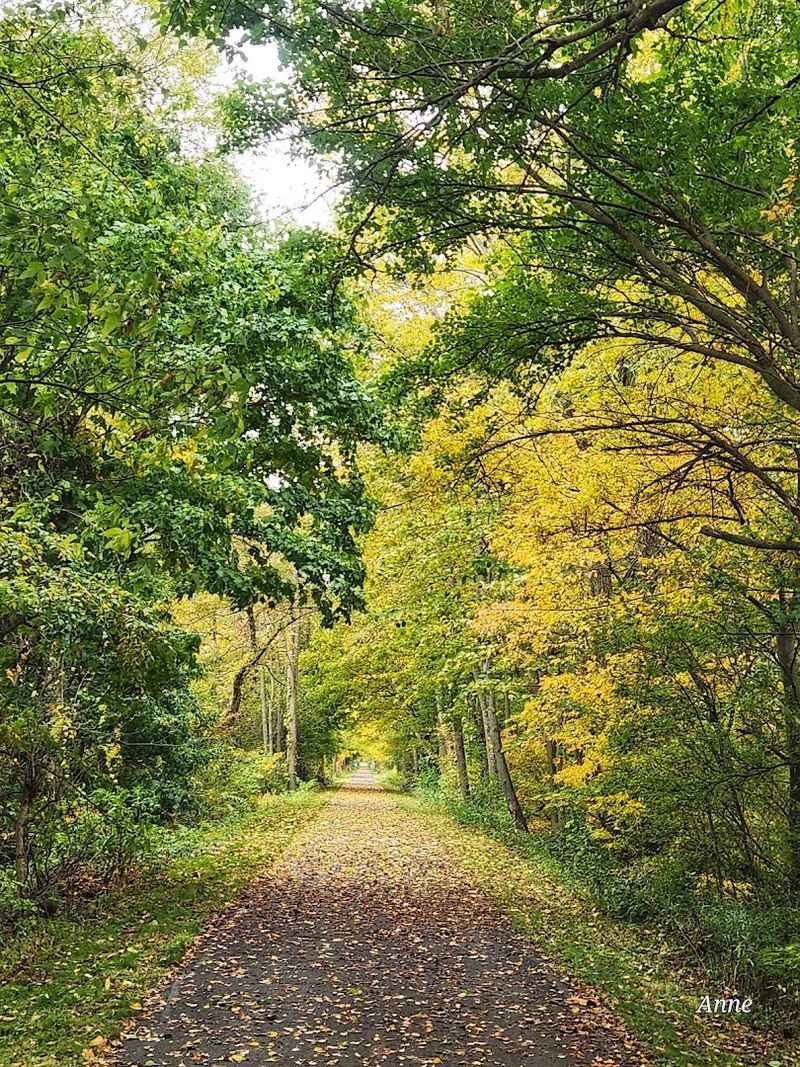 North Coast Inland Trail, Fremont