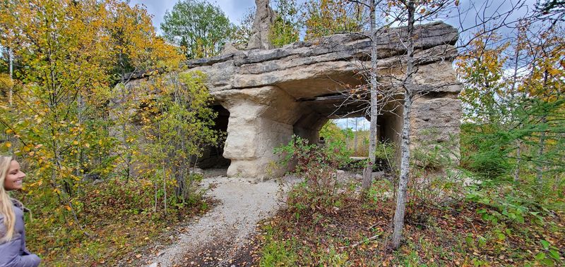 Bats, Seasons, And Stewardship