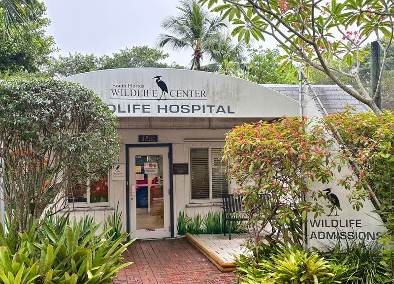 South Florida Wildlife Center