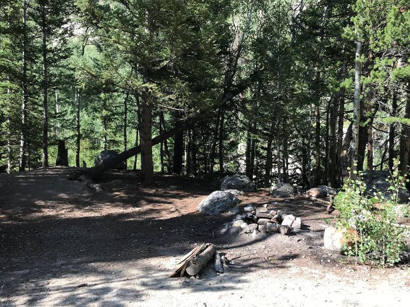 North Fork Campground, near Salida
