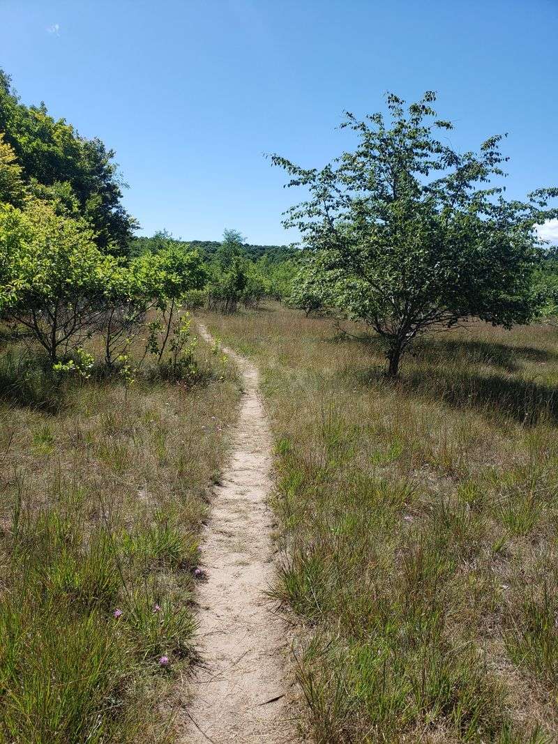 Crescent, On North Manitou Island