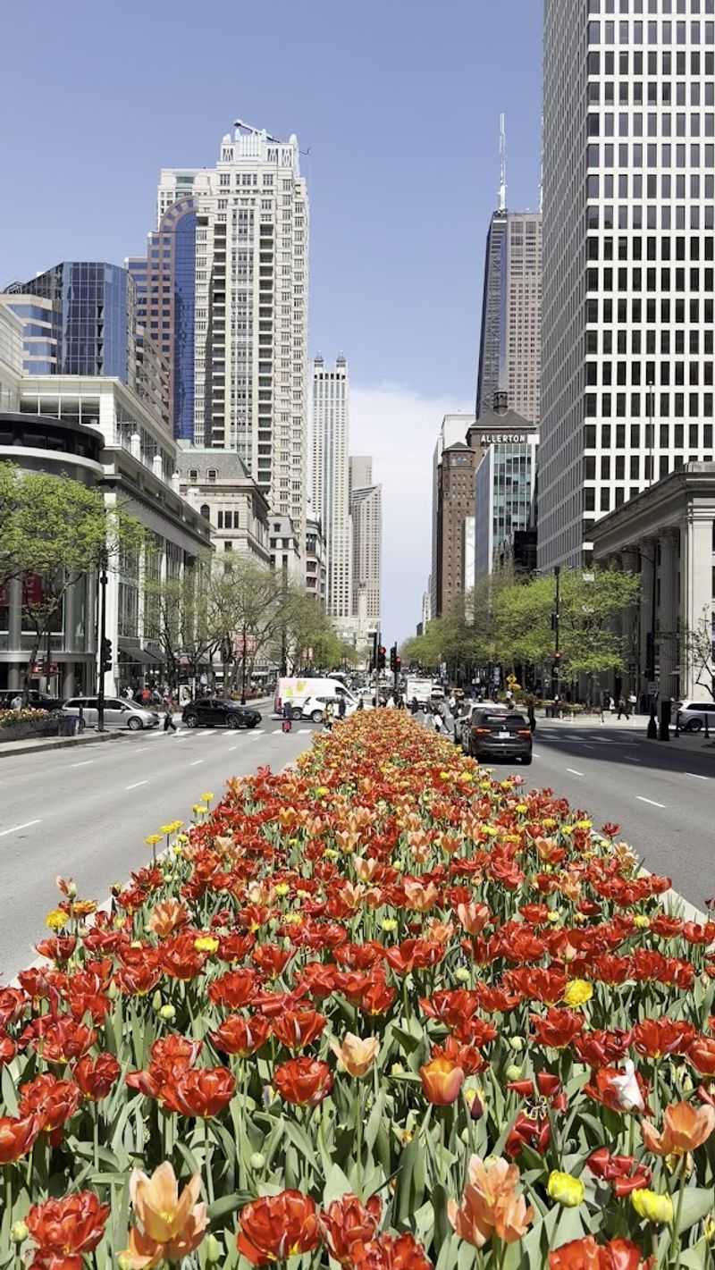 North Michigan Avenue, Chicago North Michigan Avenue, Chicago