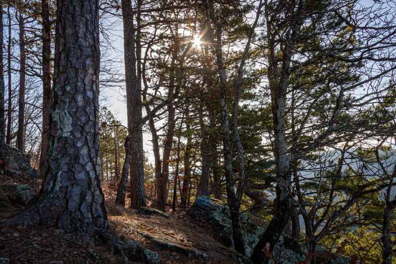 Redding Recreation Area to Spy Rock, Clarksville