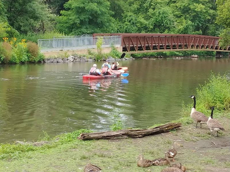 Port Providence Paddle, Port Providence