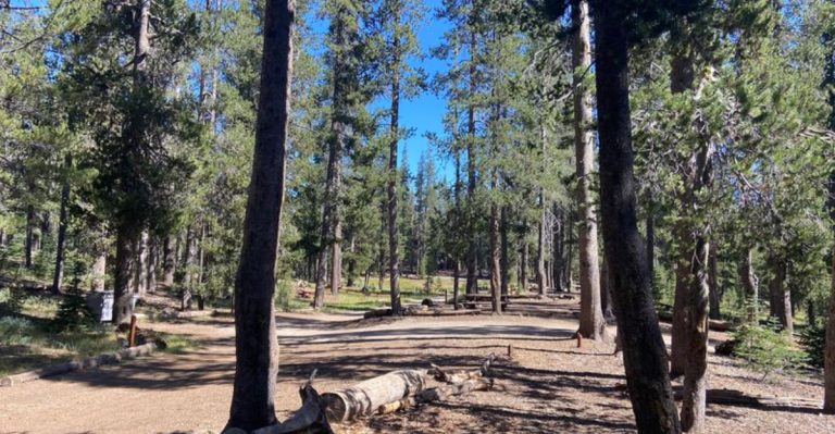 Northern California’s New Volcanic Monument Feels Like A Wild Secret Above The Forests