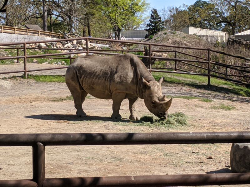 GloWILD at the Little Rock Zoo — 1 Zoo Dr, Little Rock