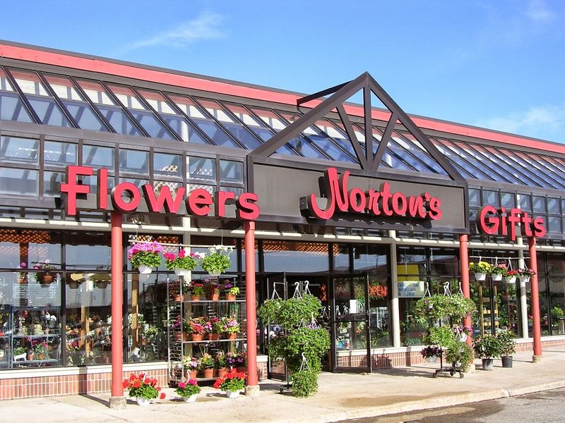 Norton's Flowers And Gifts