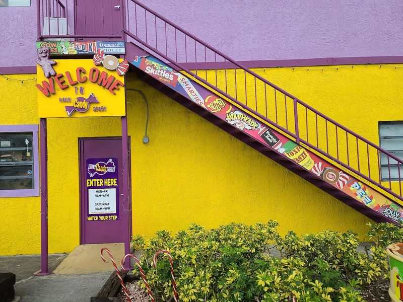 Energetic And Knowledgeable Tour Guides