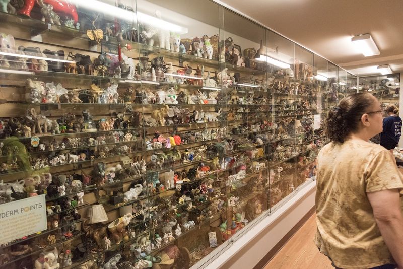 Tips for Planning Your Visit to Mr. Ed's