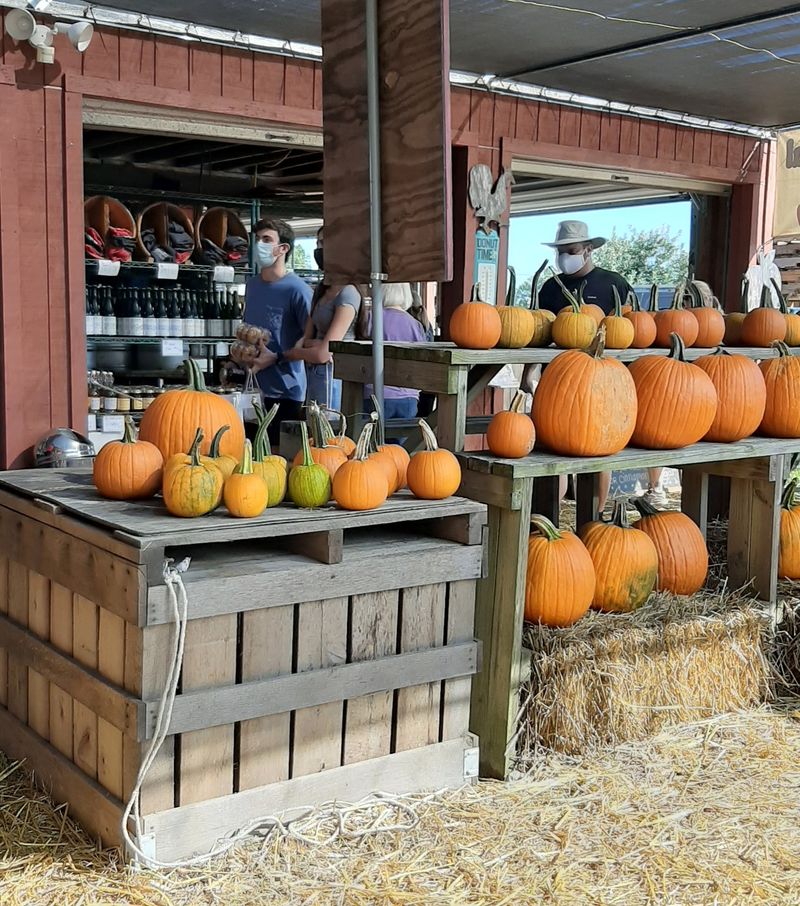 Nostalgic Hayrides Through The Property