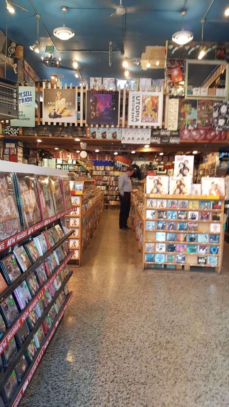 Not Just Vinyl: CDs, Cassettes, And More Not Just Vinyl: CDs, Cassettes, And More