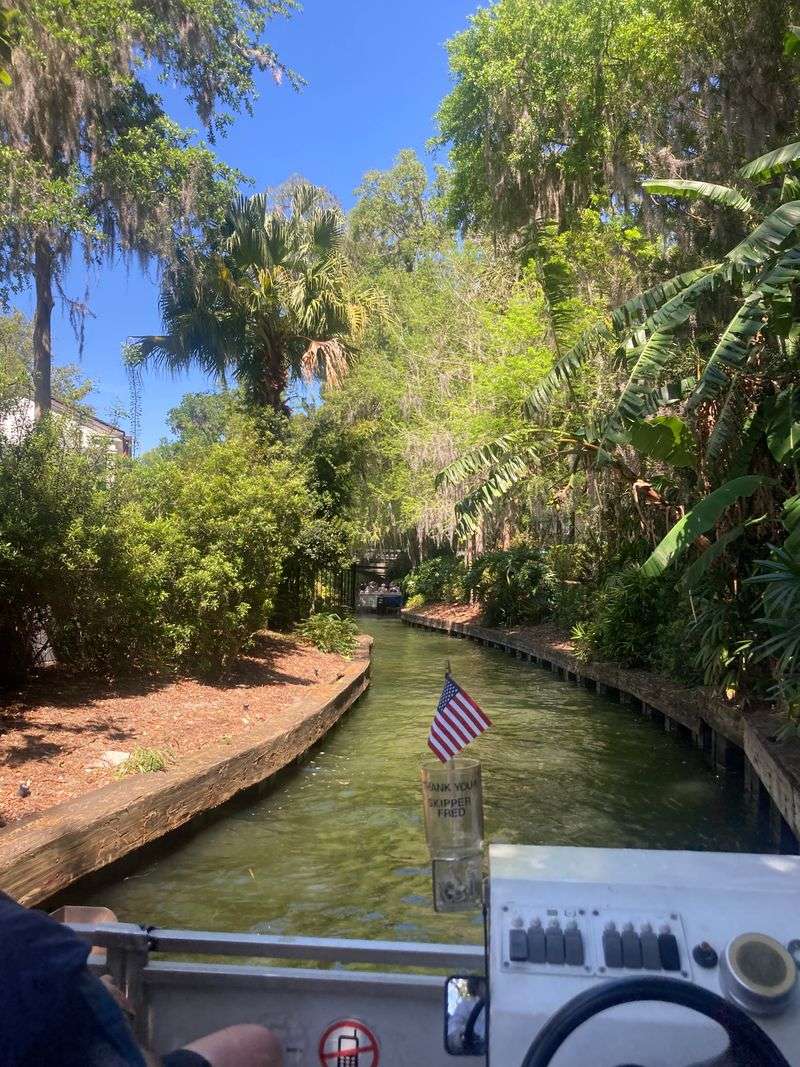 Watch For Egrets, Anhingas, And Turtles