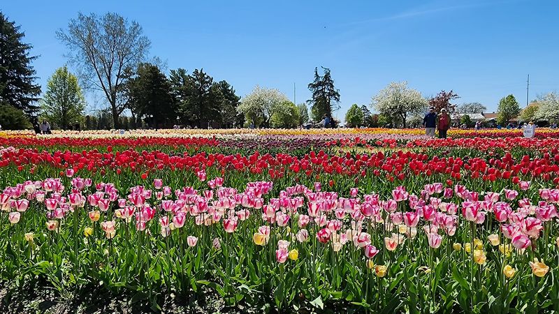 Notice How Many Varieties Are Packed Into One Visit