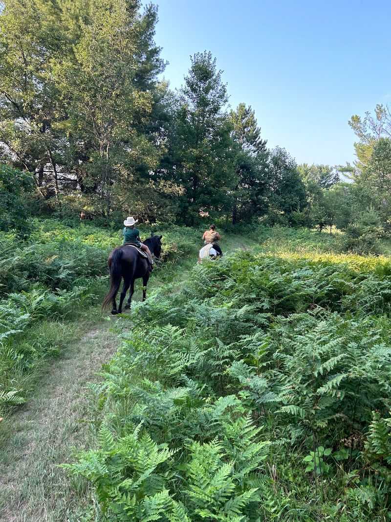 Notice How Private Trails Change Everything
