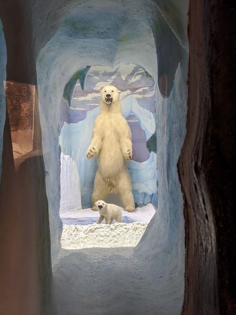 Notice How The Museum Expands Beyond Michigan