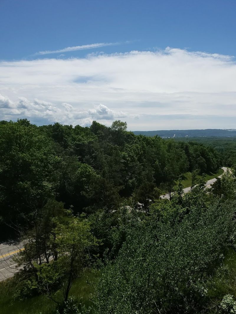 Time Your Stop, But Do Not Overplan It