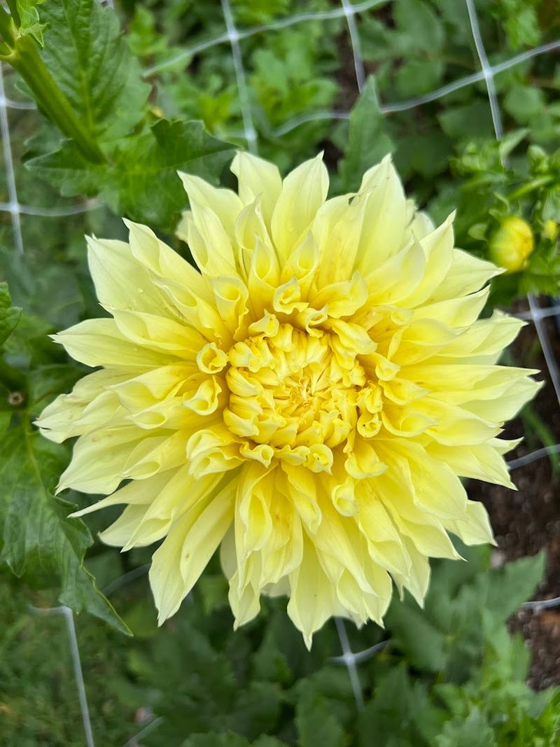 Go Midweek To Avoid The Weekend Rush