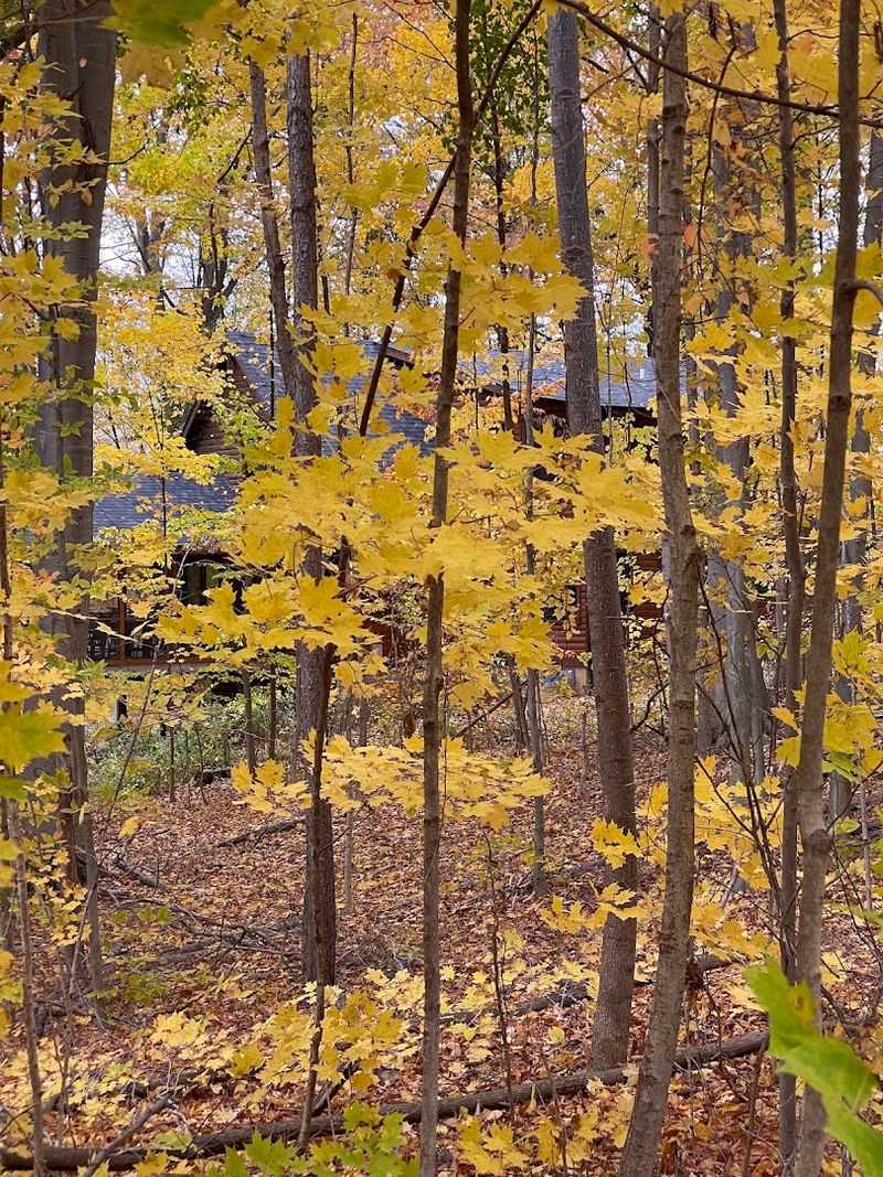 Come Ready For All Four Seasons