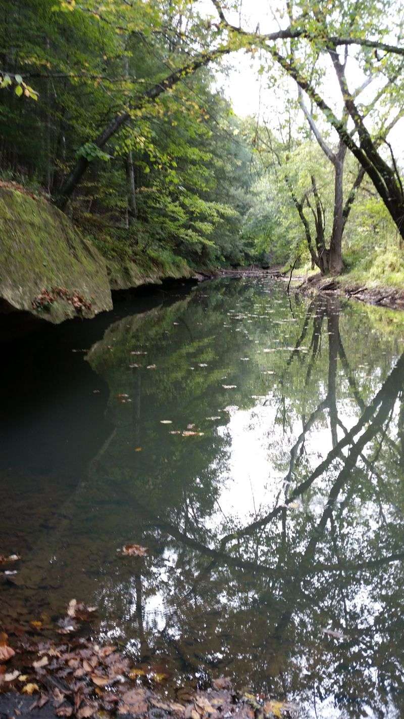 Let The Creek’s Small Oddities Lead Your Camera