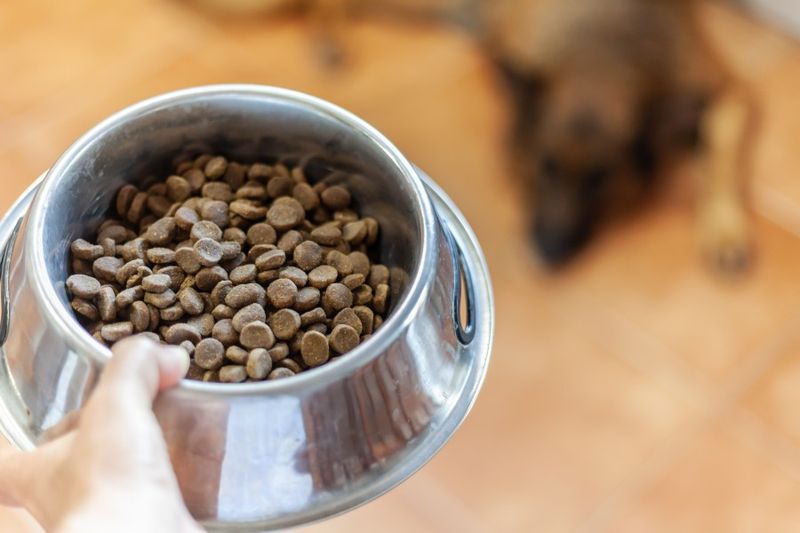 Pet Food: Cross-Contamination Culprit