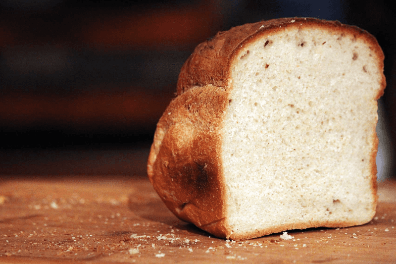 Bread: The Mold Marathon Winner