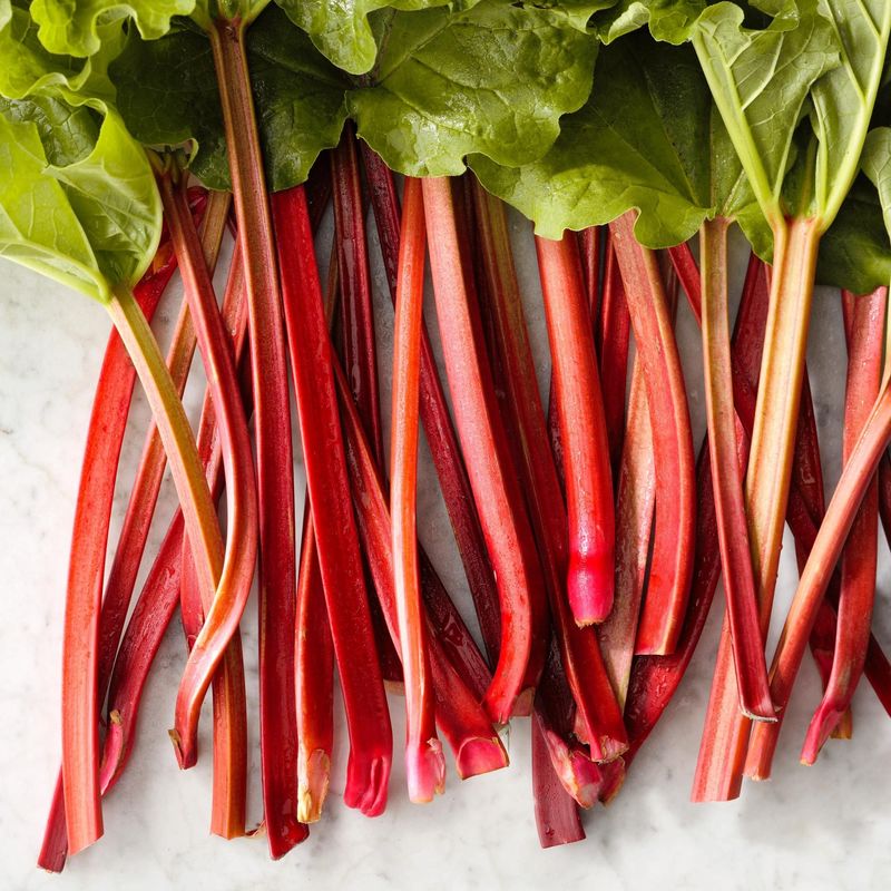 Rhubarb: Spring Delight, Summer Pain