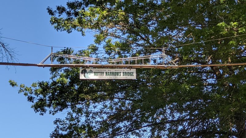 Nutty Narrows - Squirrel Bridges, Longview