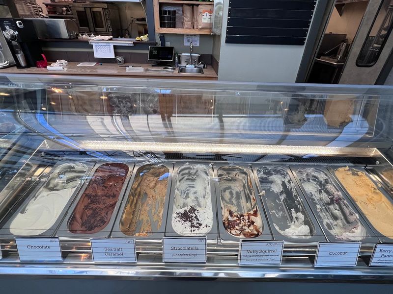 Nutty Squirrel Gelato That Steals The Show