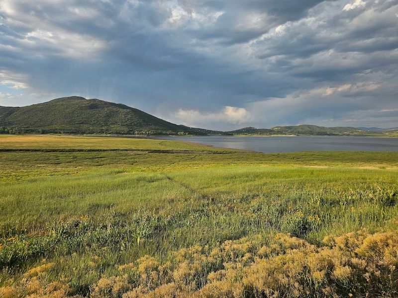 Night Skies So Clear The Milky Way Shows Up Uninvited