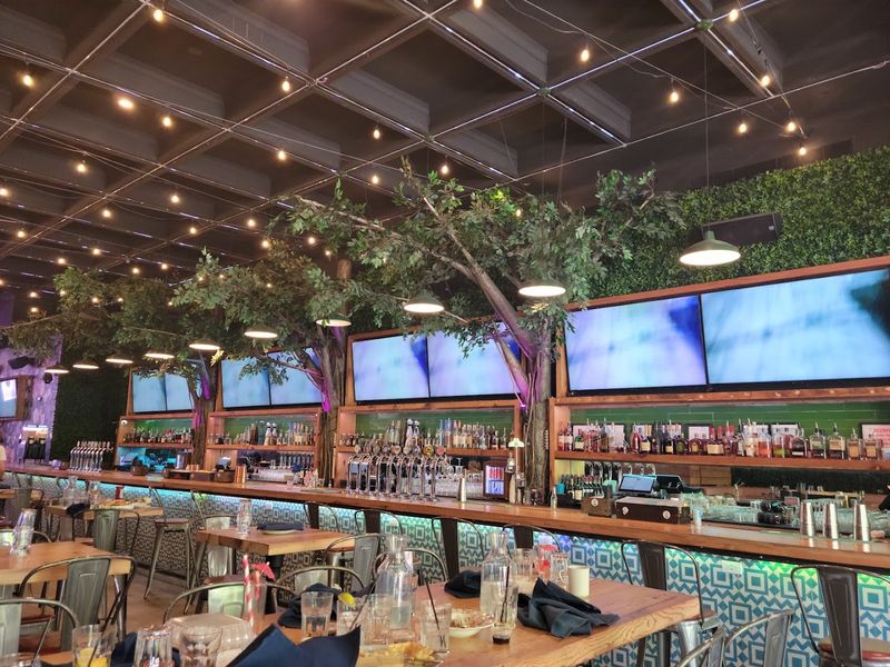 OLÉ World Cup Pop-Up at Tree House Chicago, River North