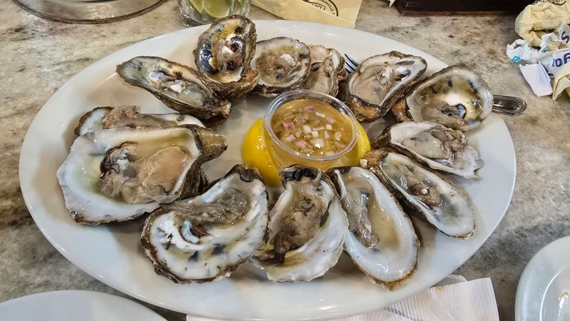 St. Augustine Fish Camp