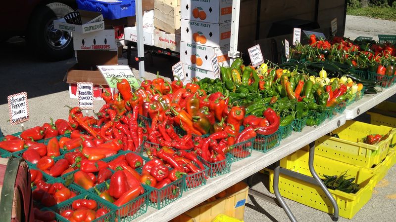 Oak Park Farmers' Market, Oak Park