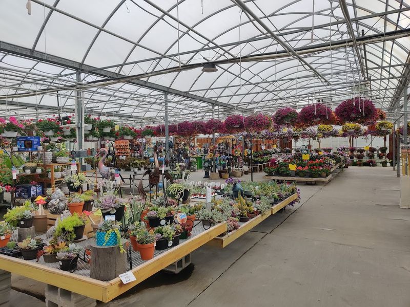 Oakwood Road Opens Into A Greenhouse Campus
