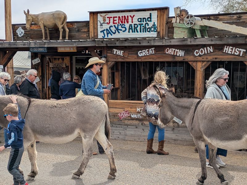 Oatman AZ