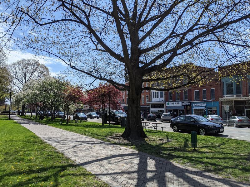 Oberlin