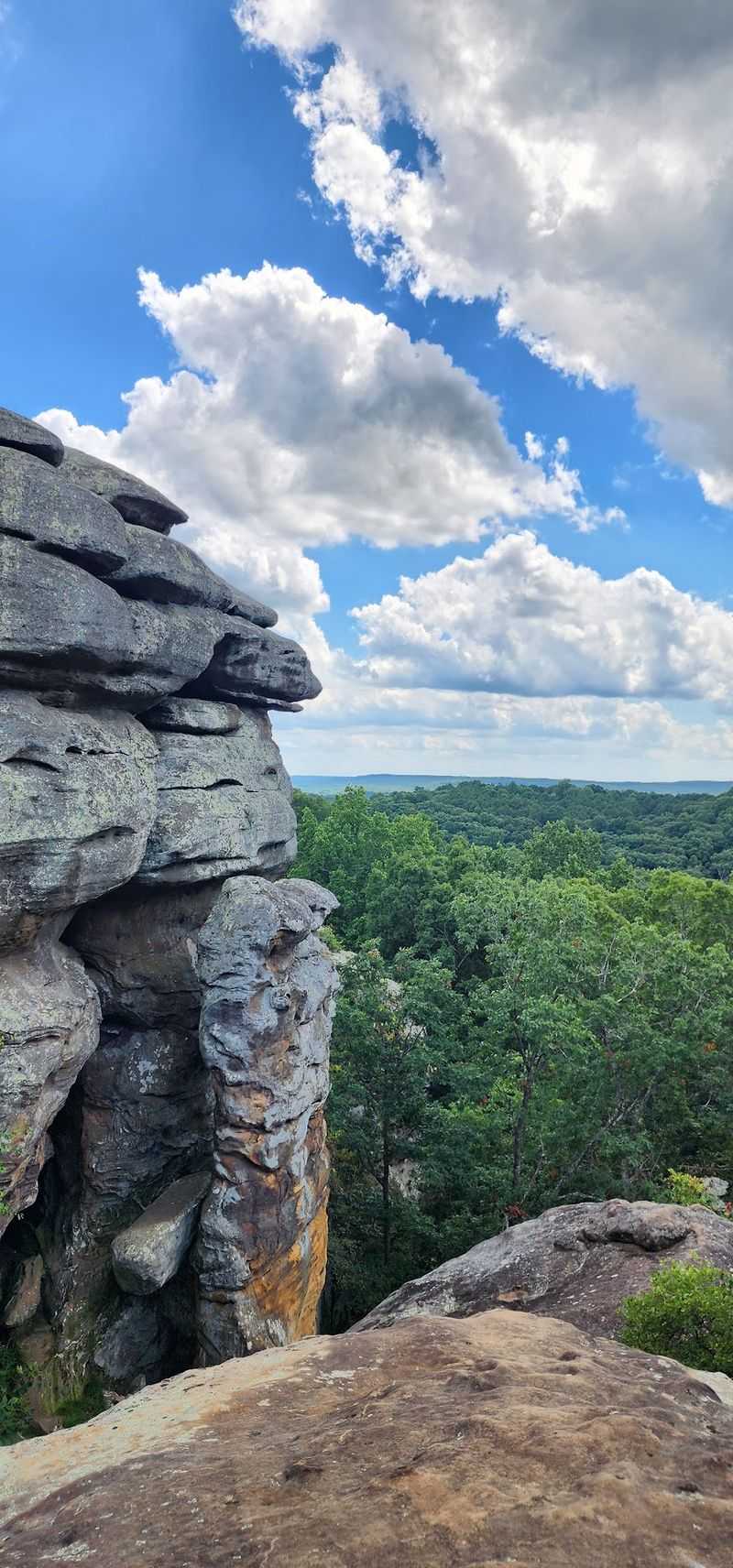 Observation Trail