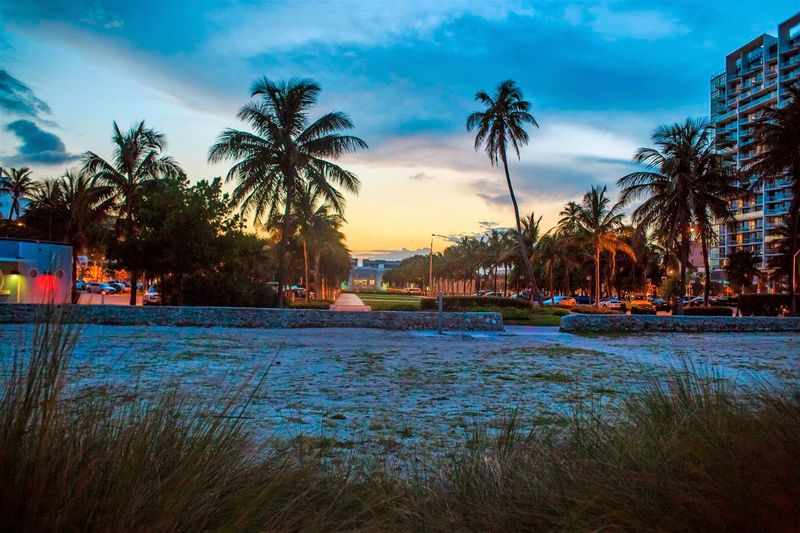 Miami - Multicultural Irish Fusion