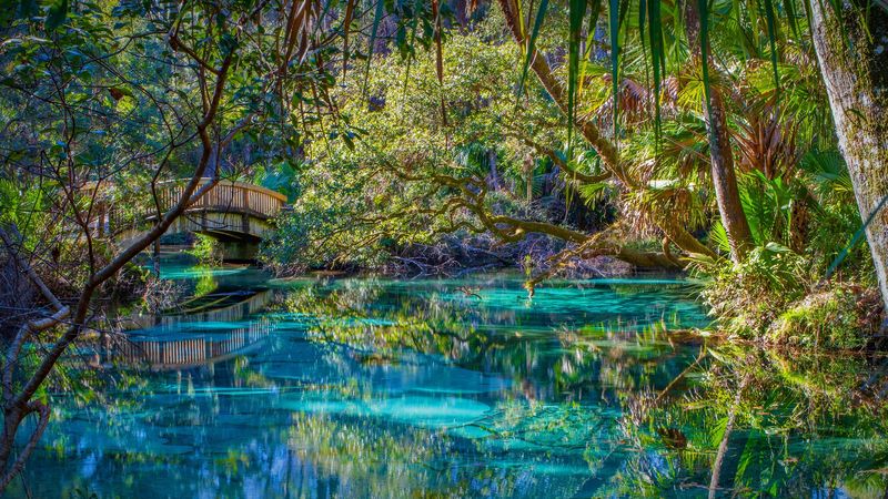 Ocala National Forest, Marion County